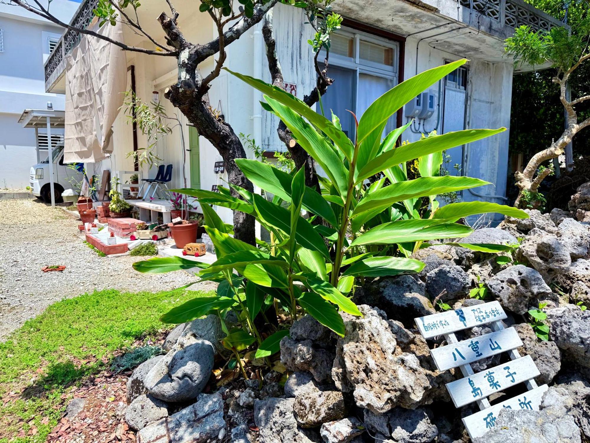 星降る夜と天然木の香りに包まれる新築癒しの隠れ家ishigaki Villa En えん Zewnętrze zdjęcie