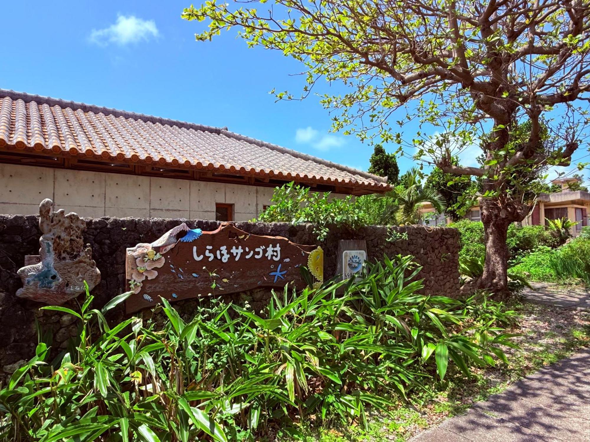 星降る夜と天然木の香りに包まれる新築癒しの隠れ家ishigaki Villa En えん Zewnętrze zdjęcie